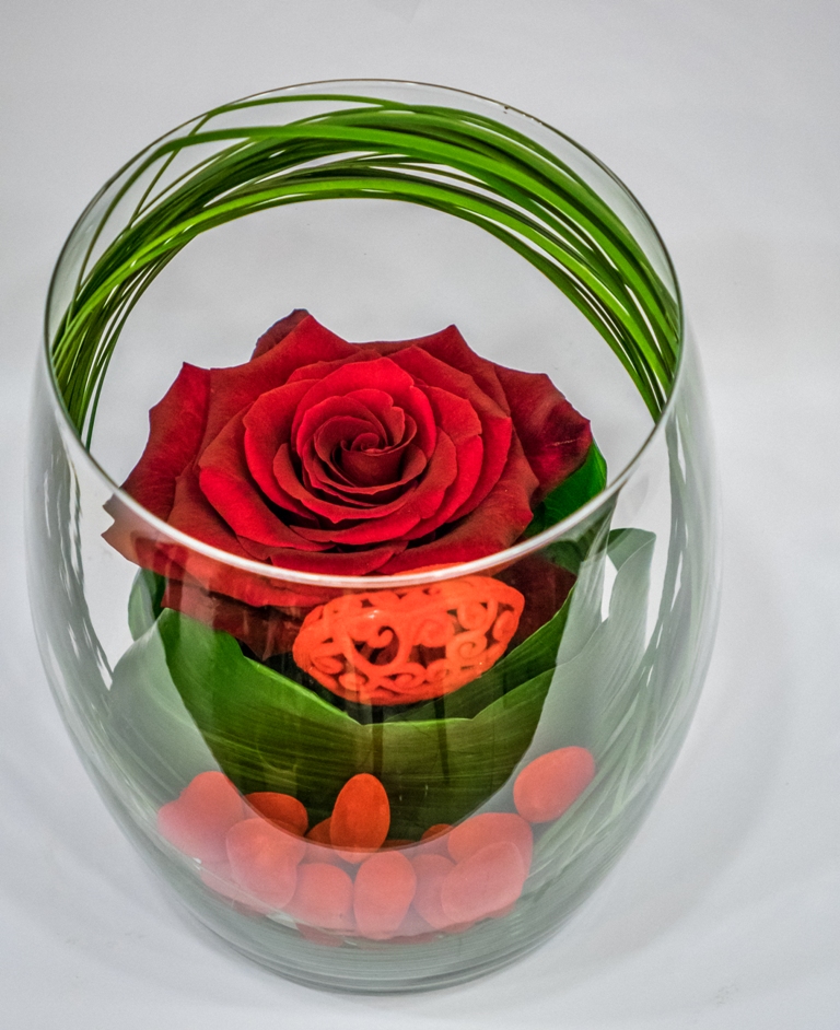 Τριαντάφυλλο σε βάζο