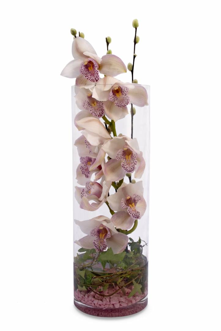 Orchid in glass vase