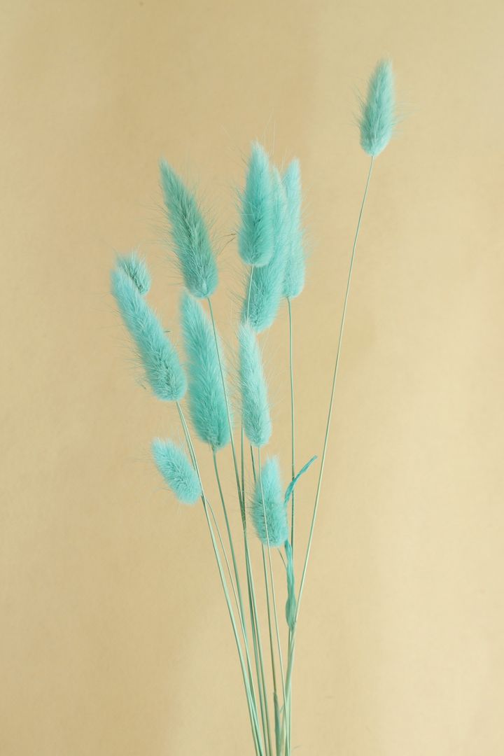 BUNNY TAILS TURQUOISE